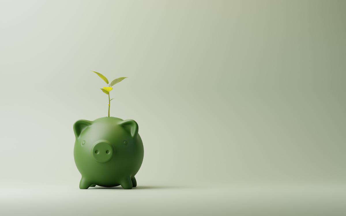 Could a working capital loan be the best investment your SME makes in 2025